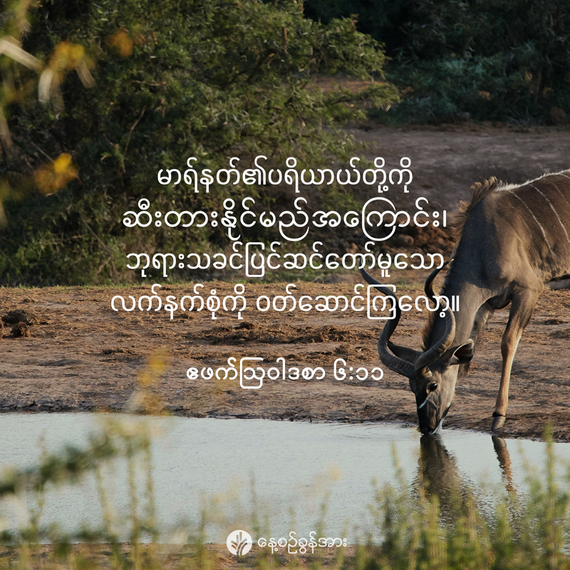 share_odb_2026-01-29-mm