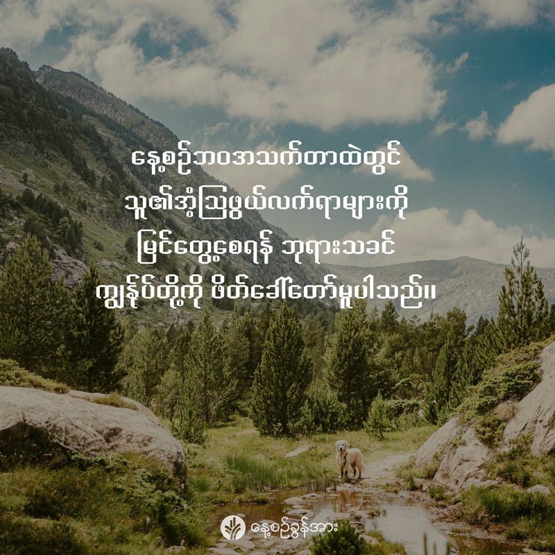 share_odb_2026-01-30-mm