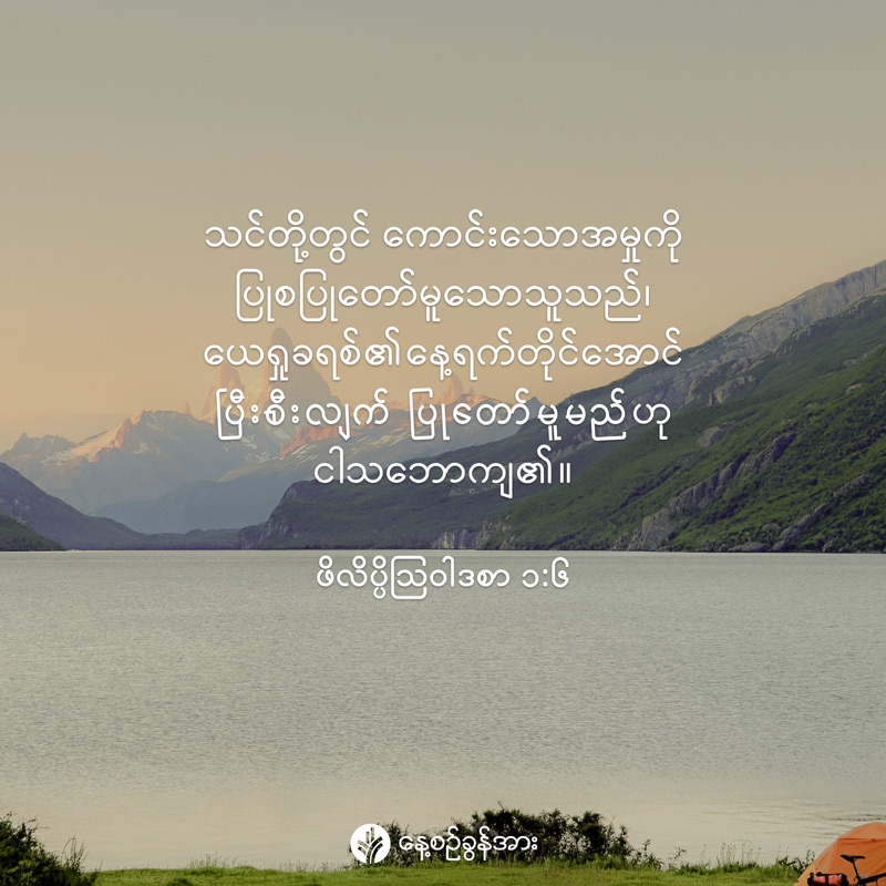 share_odb_2026-02-01-mm share_odb_2026-02-01-mm