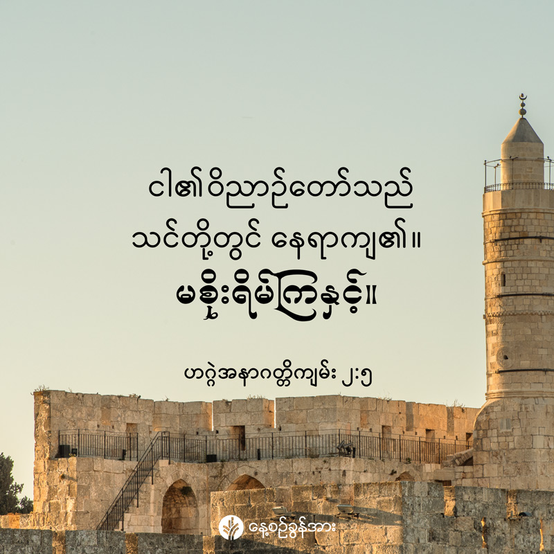 share_odb_2026-02-03-mm