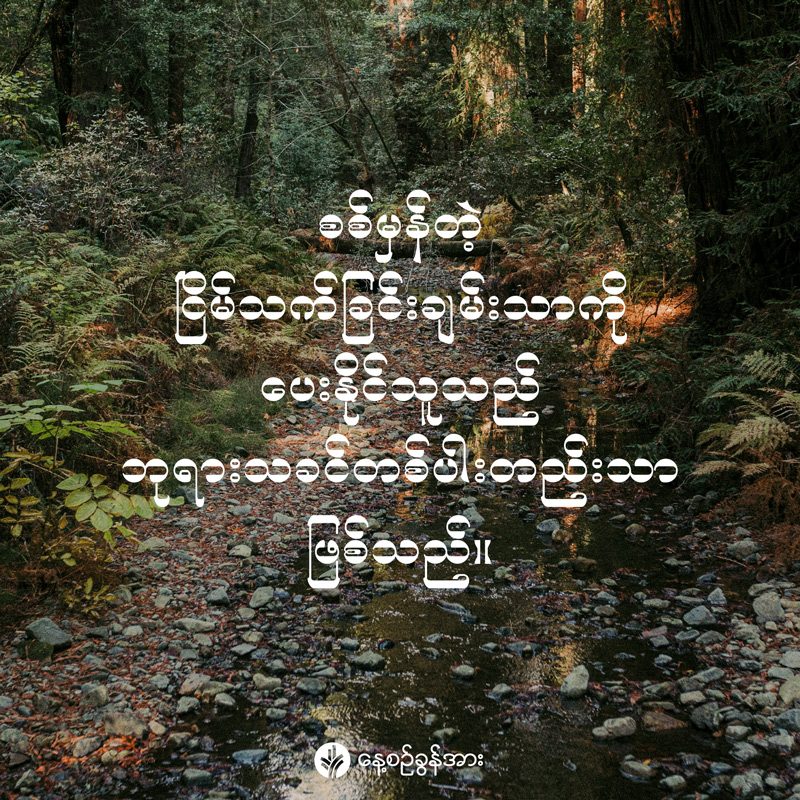 share_odb_2026-02-05-mm share_odb_2026-02-05-mm