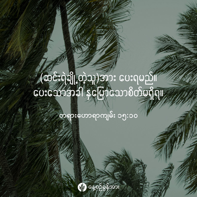 share_odb_2026-02-08-mm