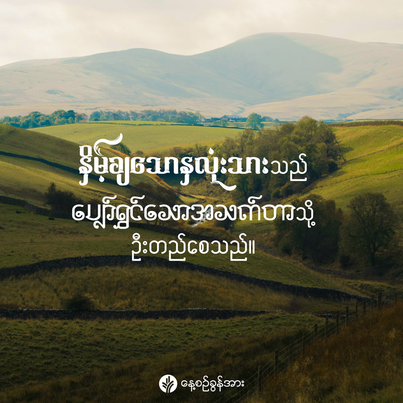 share_odb_2026-02-09-mm