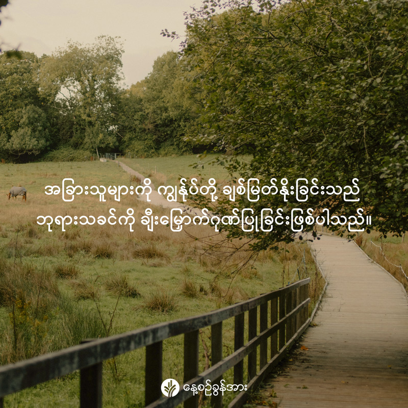 share_odb_2026-02-11-mm