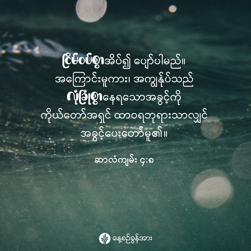 share_odb_2026-02-12-mm