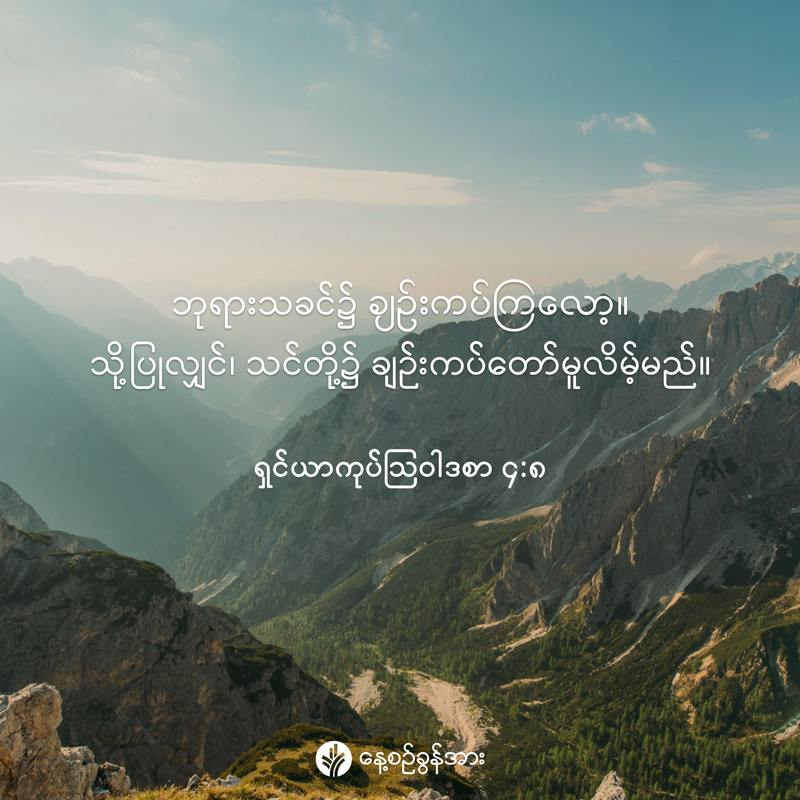 share_odb_2026-02-13-mm