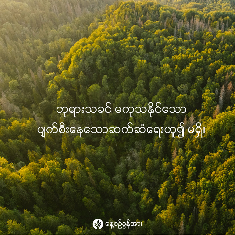 share_odb_2026-02-16-mm share_odb_2026-02-16-mm