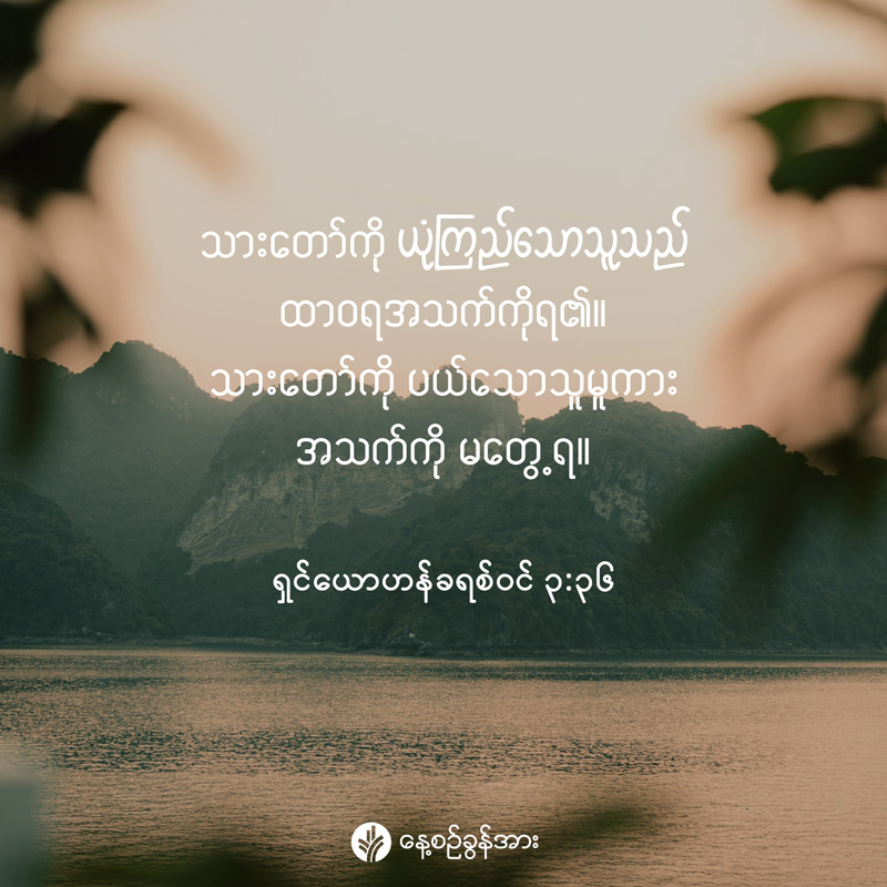 share_odb_2026-02-17-mm