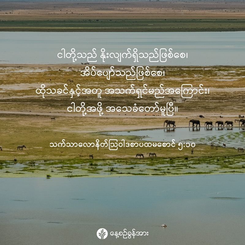 share_odb_2026-02-20-mm share_odb_2026-02-20-mm