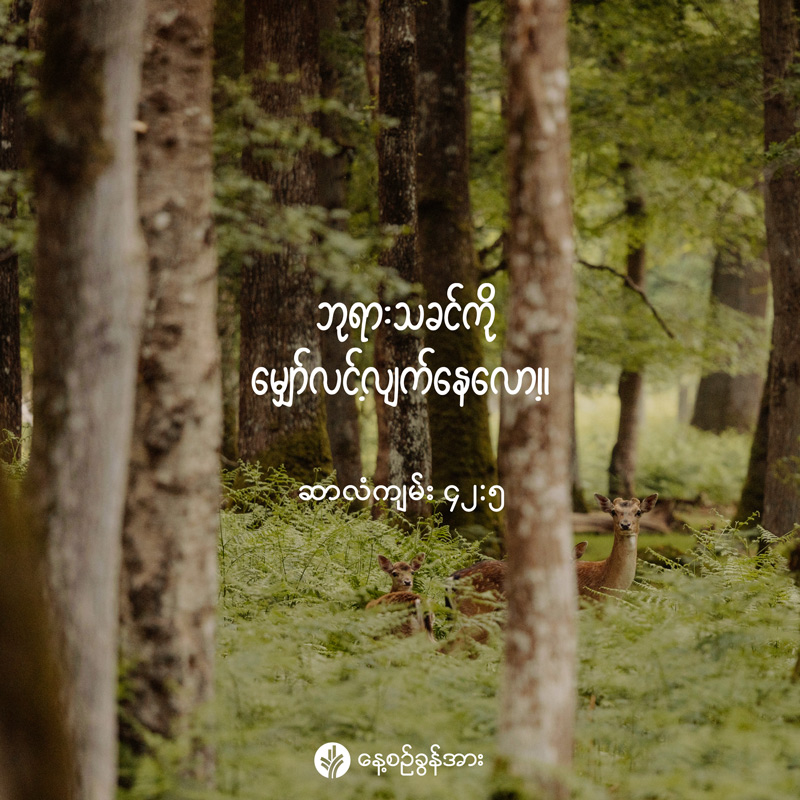 share_odb_2026-02-21-mm share_odb_2026-02-21-mm