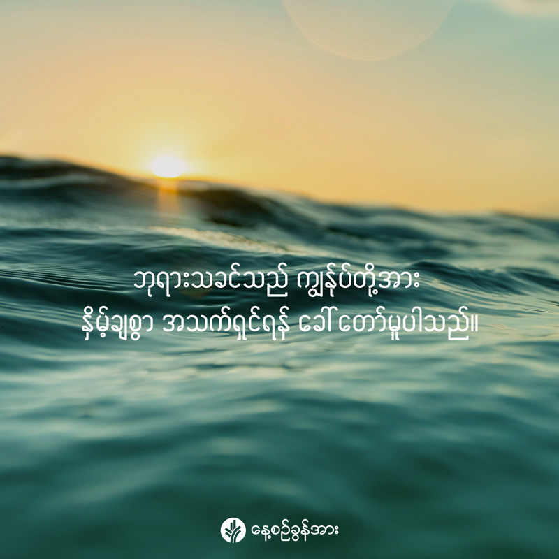 share_odb_2026-02-23-mm