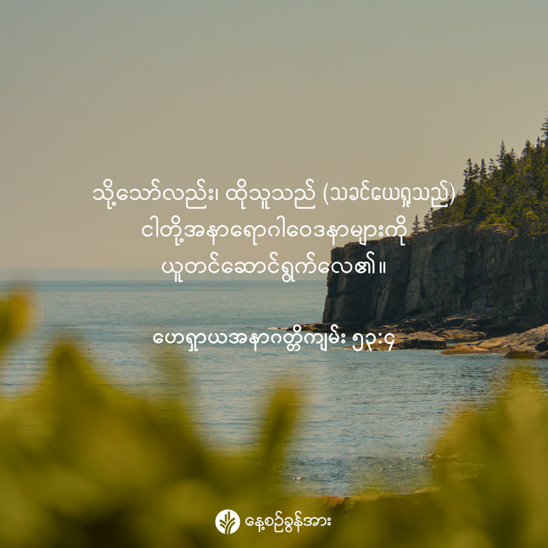 share_odb_2026-02-24-mm