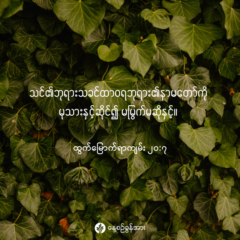 share_odb_2026-02-25-mm