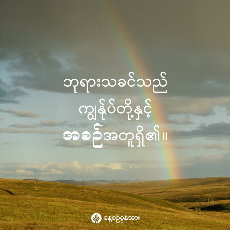 share_odb_2026-02-26-mm