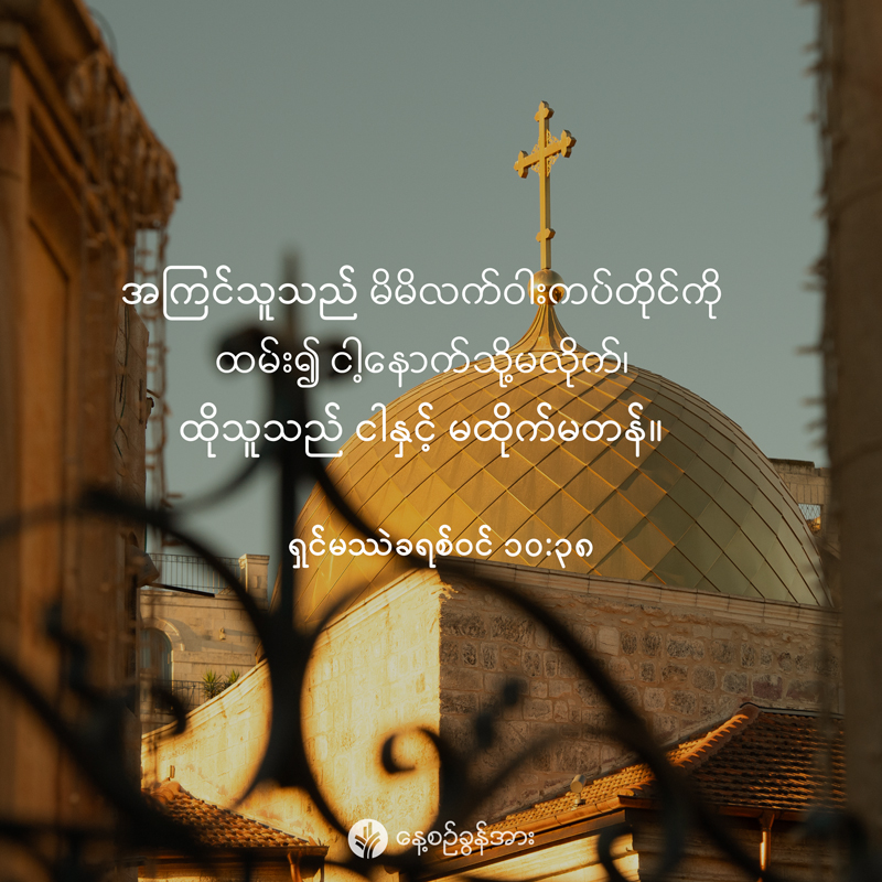 share_odb_2026-01-17-mm