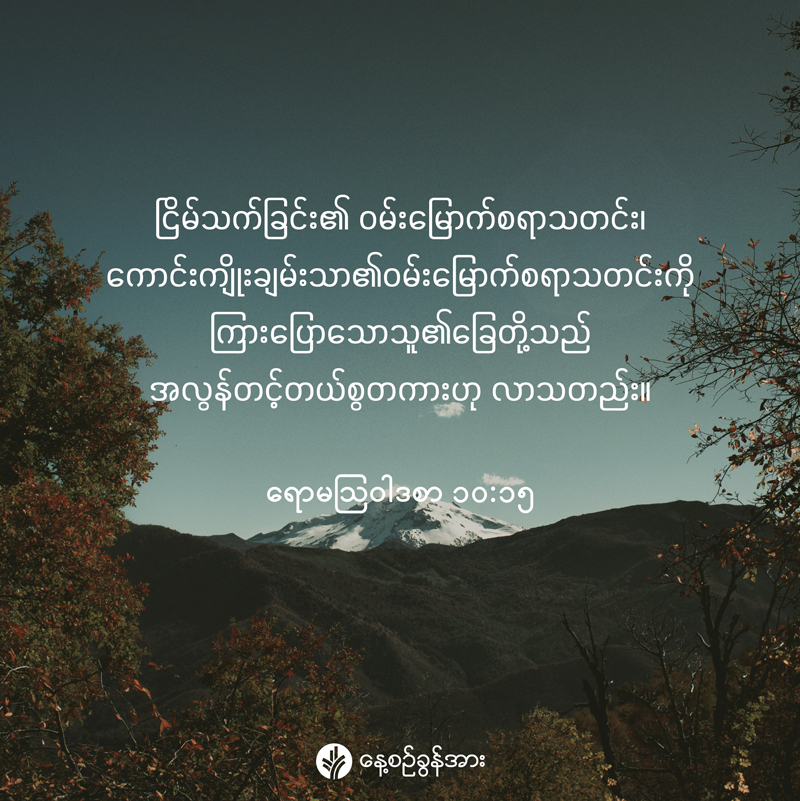 share_odb_2026-03-01-mm