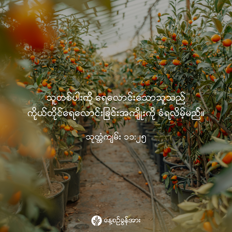 share_odb_2026-03-02-mm