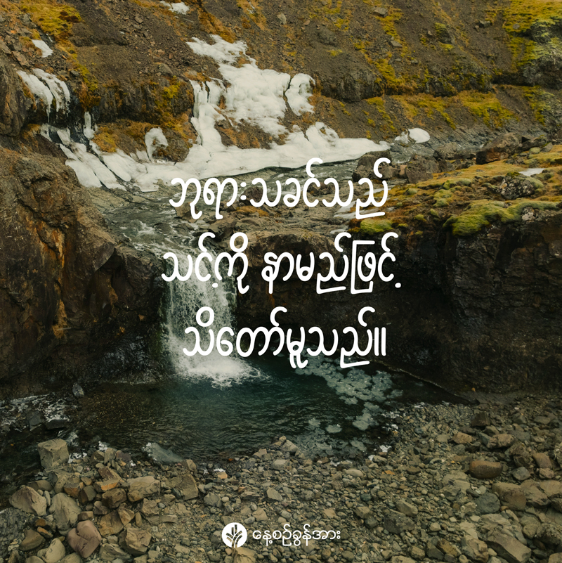 share_odb_2026-03-04-mm