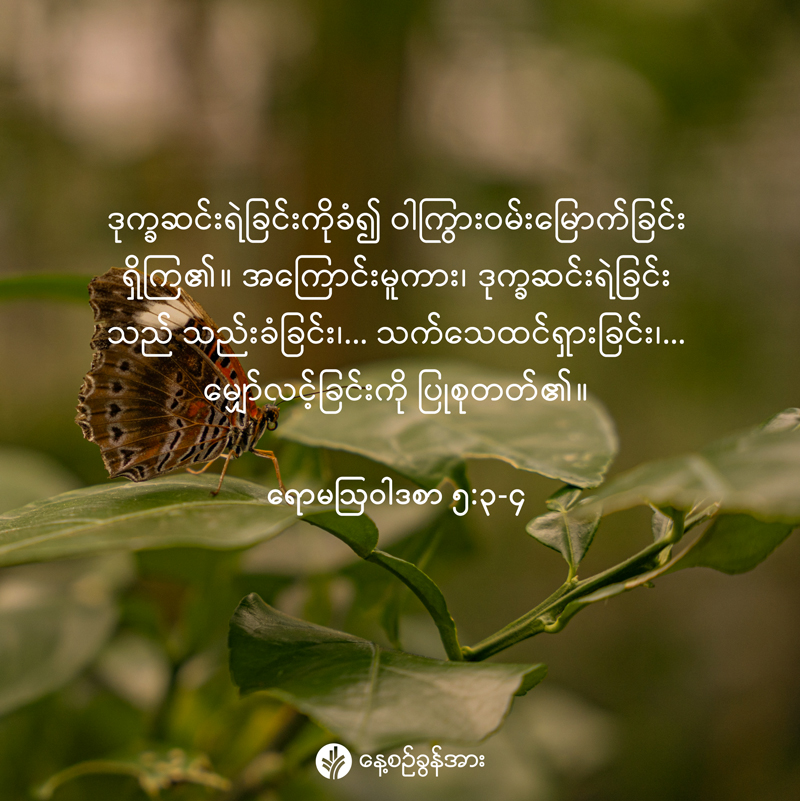 share_odb_2026-03-05-mm