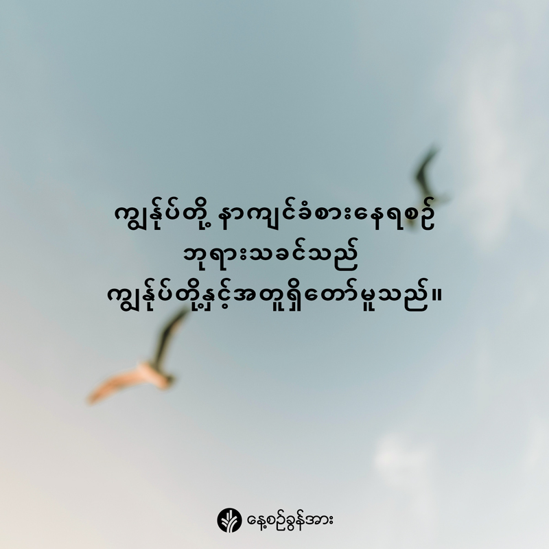 share_odb_2026-03-13-mm