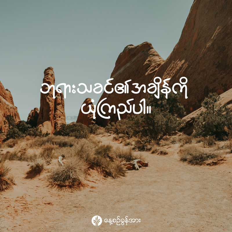 share_odb_2026-03-14-mm