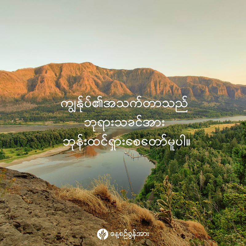 share_odb_2026-03-16-mm