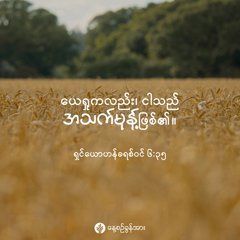 share_odb_2026-03-17-mm