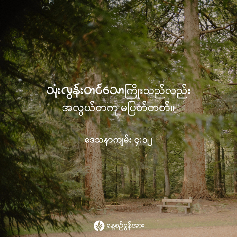 share_odb_2026-03-18-mm