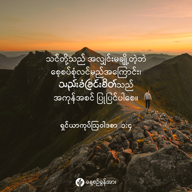 share_odb_2026-03-19-mm