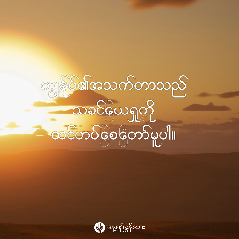 share_odb_2026-03-22-mm