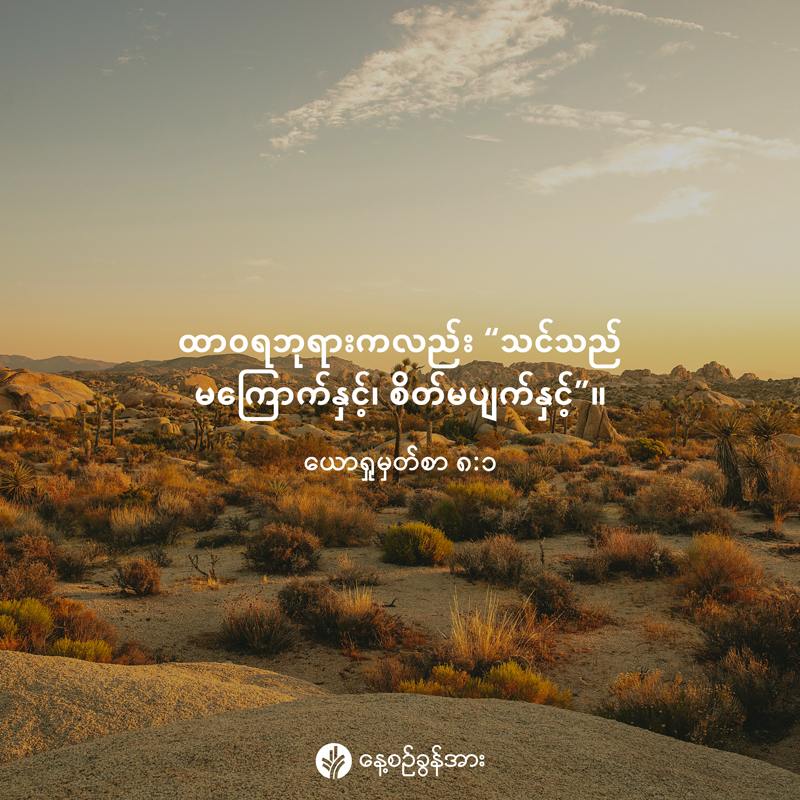 share_odb_2026-03-24-mm