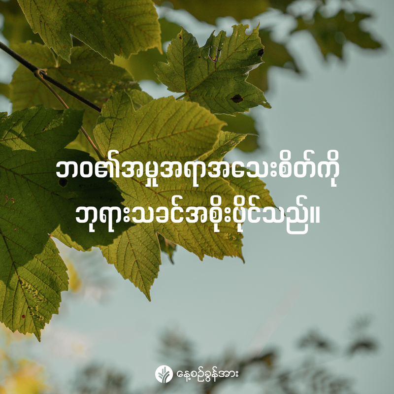 share_odb_2026-03-27-mm