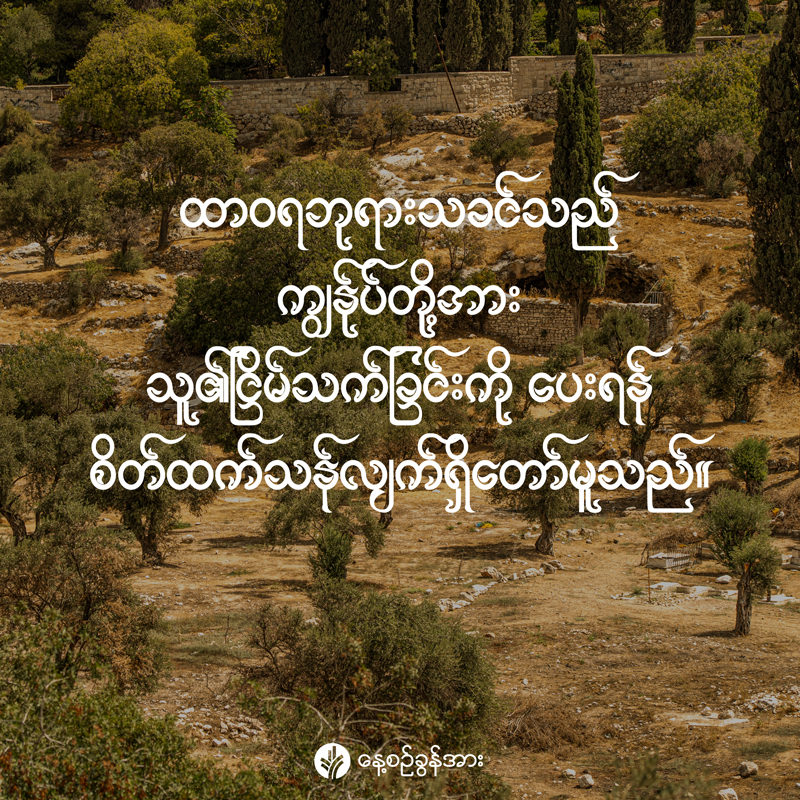 share_odb_2026-03-29-mm