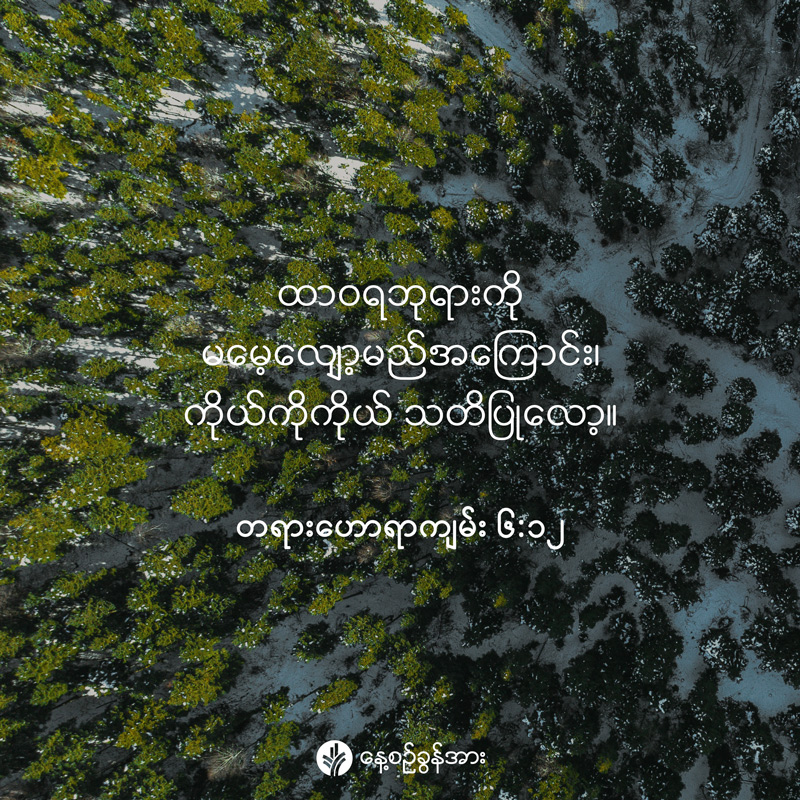 share_odb_2026-03-06-mm