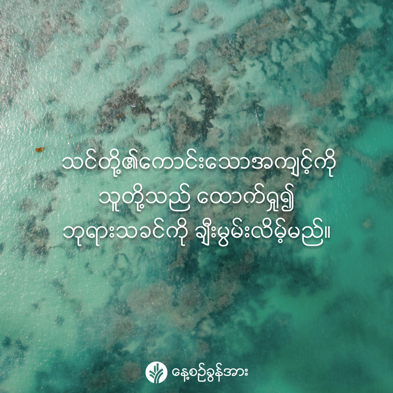 share_odb_2026-04-01-mm