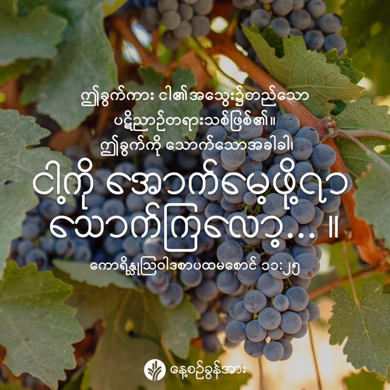 share_odb_2026-04-02-mm