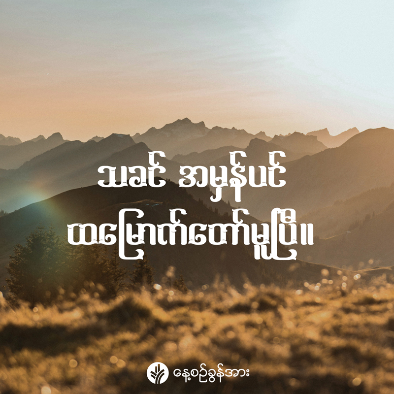 share_odb_2026-04-05-mm