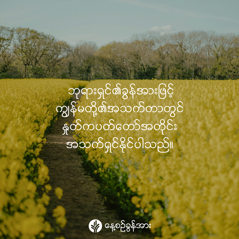 share_odb_2026-04-07-mm