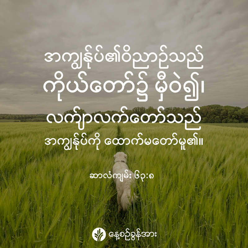 share_odb_2026-04-11-mm