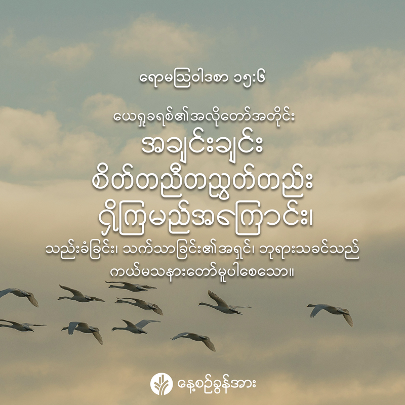 share_odb_2026-04-23-mm