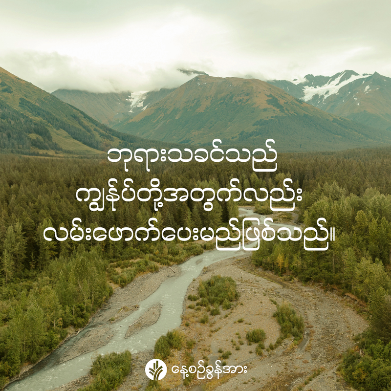 share_odb_2026-04-24-mm