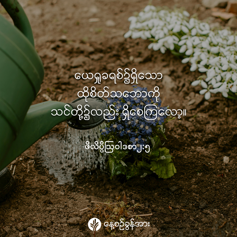 share_odb_2026-04-25-mm