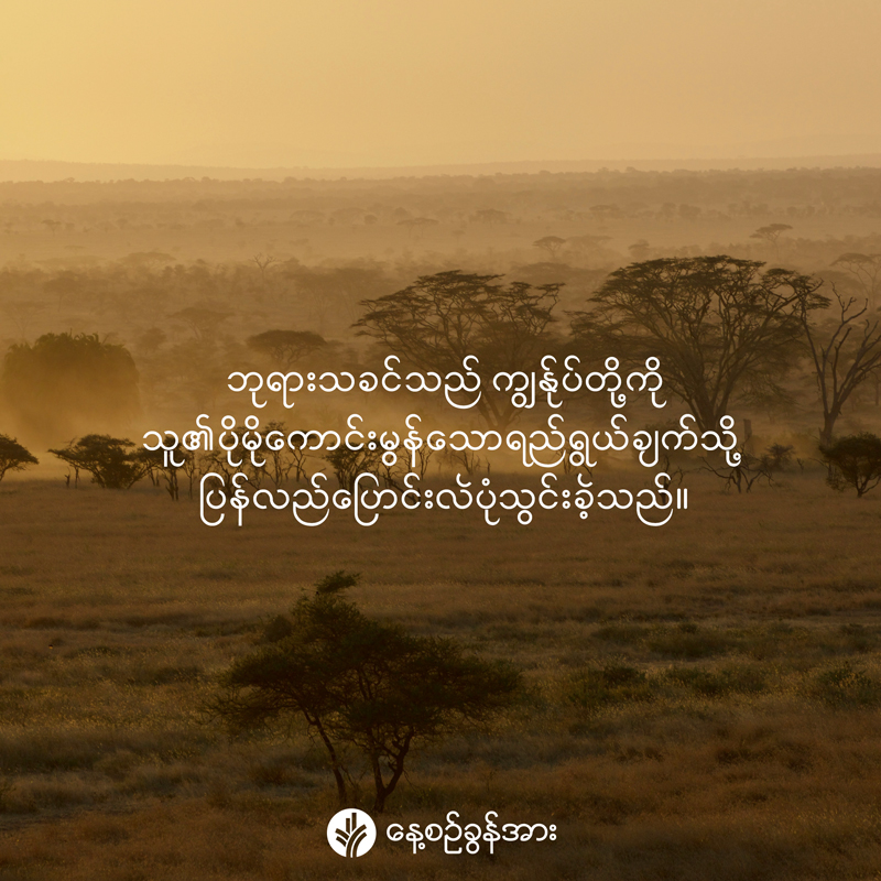 share_odb_2026-04-27-mm