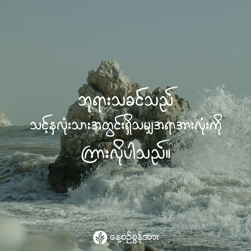 share_odb_2026-04-29-mm