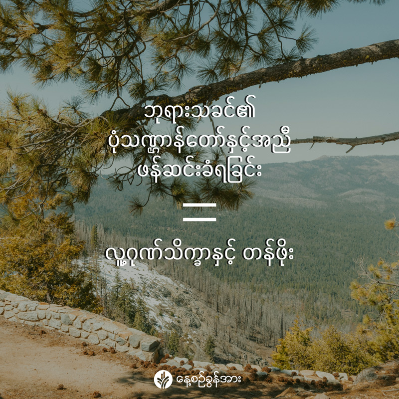 share_odb_2026-05-01-mm