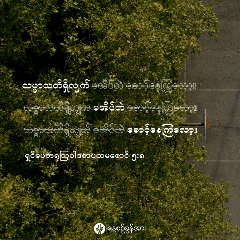 share_odb_2026-05-02-mm