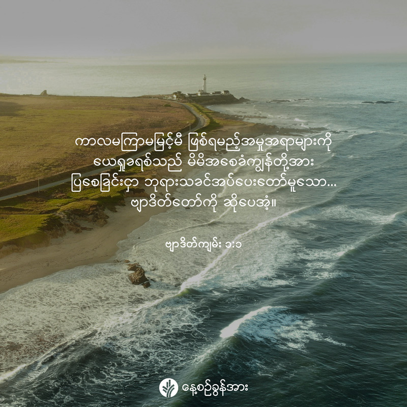 share_odb_2026-05-04-mm