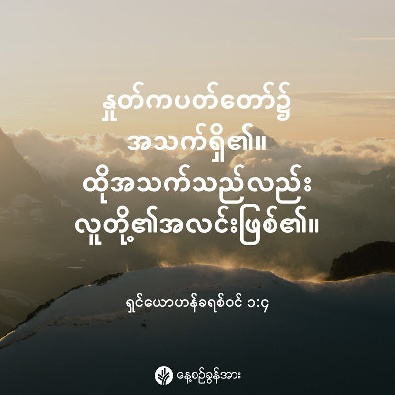 share_odb_2026-05-08-mm