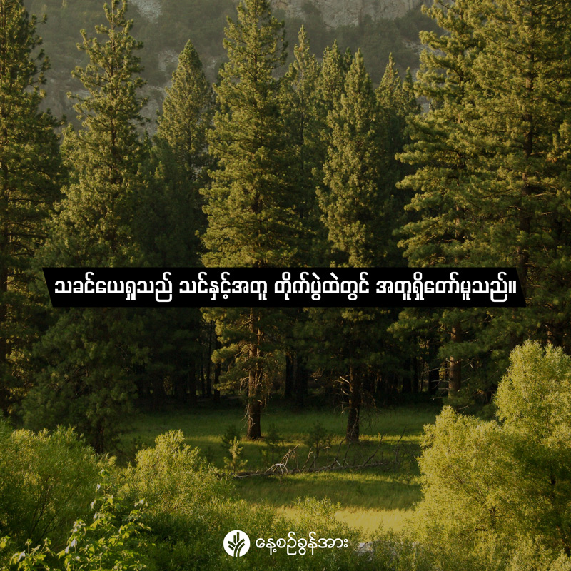 share_odb_2026-05-09-mm