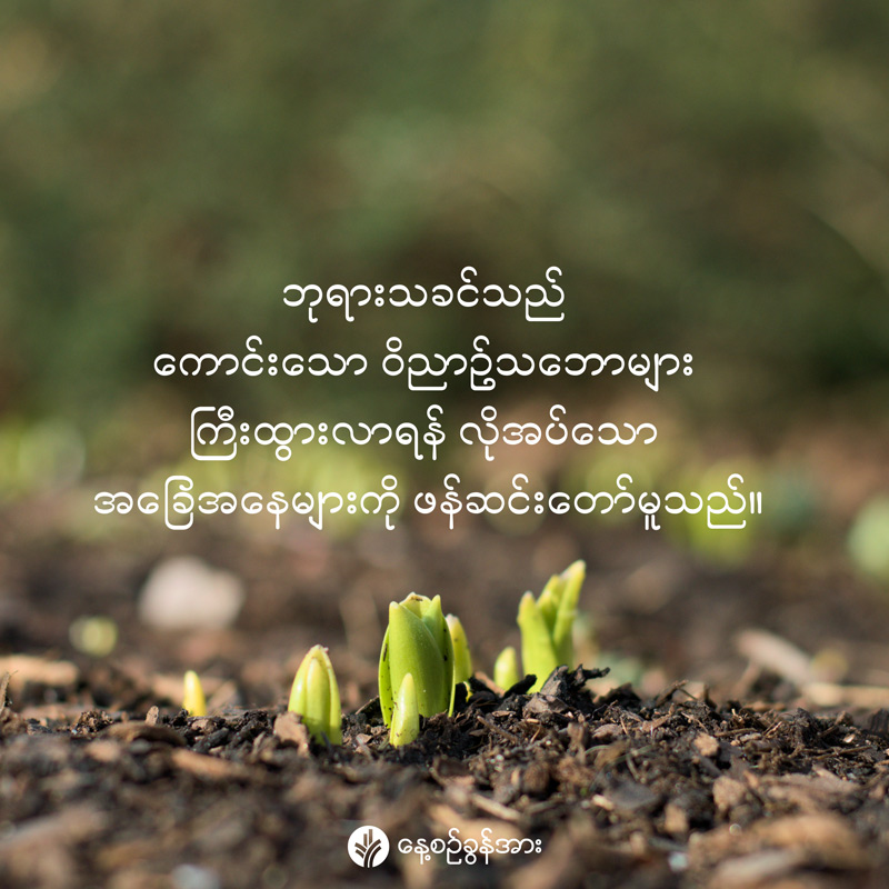 share_odb_2026-05-14-mm
